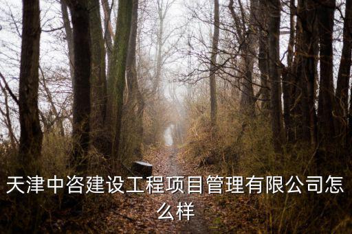 天津市新建工程項(xiàng)目管理公司，國內(nèi)最知名的工程項(xiàng)目管理公司有哪些是做工程項(xiàng)目管理出名哦 不是工