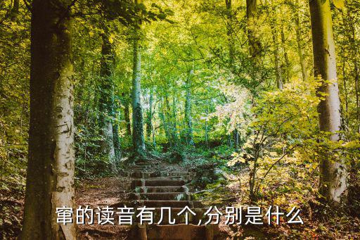 竄的讀音有幾個,分別是什么
