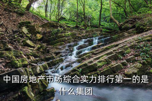 中國房地產市場綜合實力排行第一的是什么集團