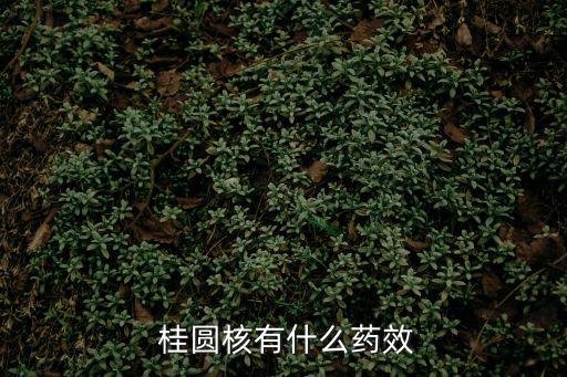  桂圓核有什么藥效