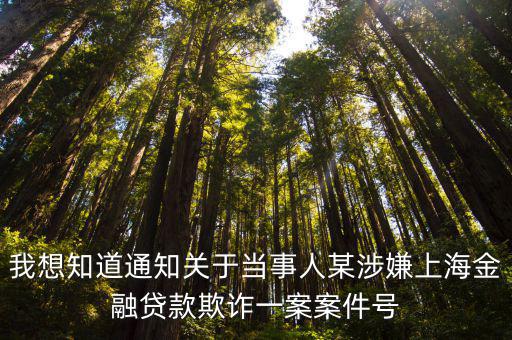 我想知道通知關于當事人某涉嫌上海金融貸款欺詐一案案件號
