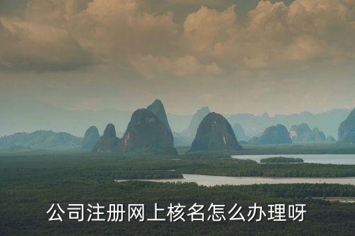 公司注冊核名官網，怎么在工商局網站上注冊公司核名