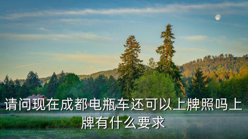 請問現在成都電瓶車還可以上牌照嗎上牌有什么要求
