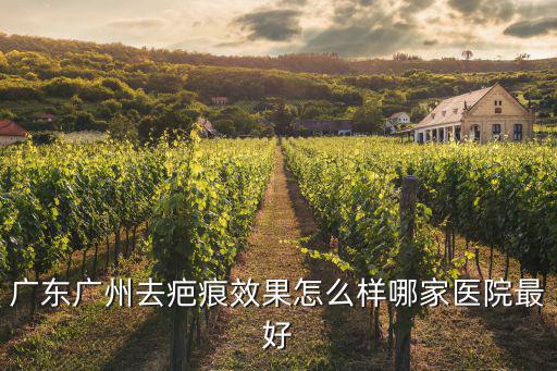 去疤痕就問廣州健膚挺好，廣州疤痕醫院大家給推薦下