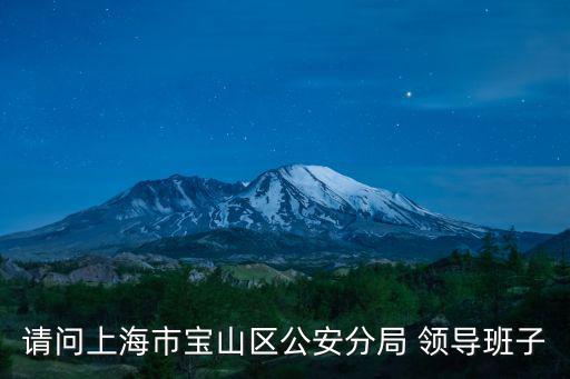 請(qǐng)問(wèn)上海市寶山區(qū)公安分局 領(lǐng)導(dǎo)班子