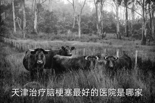 天津市有哪些醫院可以治療腦梗，天津環湖腦梗塞?？漆t院溶栓地址