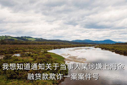 上海詐騙團(tuán)伙2020，我想知道通知關(guān)于當(dāng)事人某涉嫌上海金融貸款欺詐一案案件號(hào)