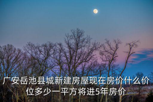廣安岳池縣城新建房屋現在房價什么價位多少一平方將進5年房價