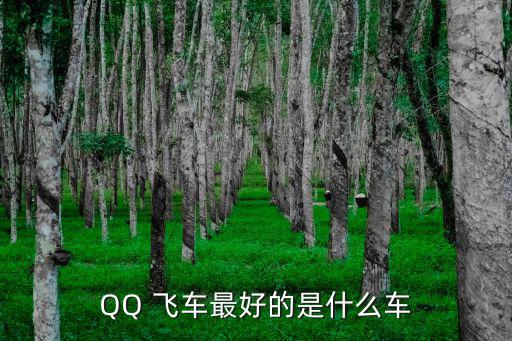 QQ 飛車最好的是什么車