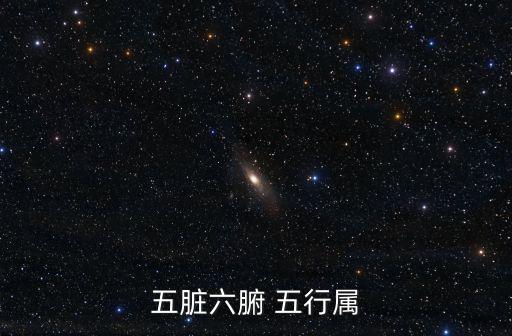 五臟六腑 五行屬