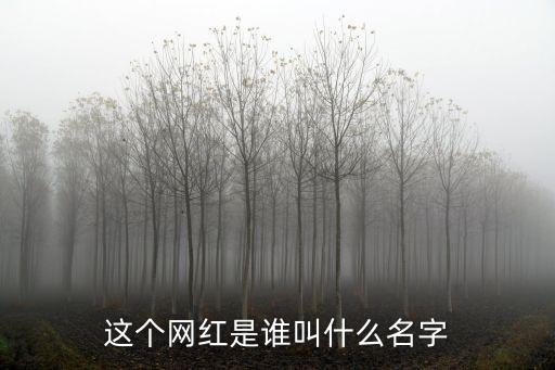 這個網紅是誰叫什么名字