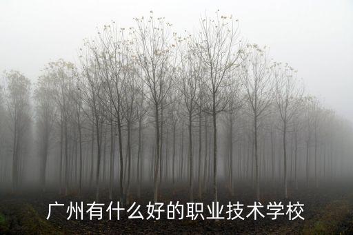 廣州有什么好的職業(yè)技術(shù)學(xué)校