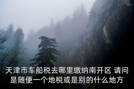 天津市車船稅去哪里繳納南開區 請問是隨便一個地稅或是別的什么地方