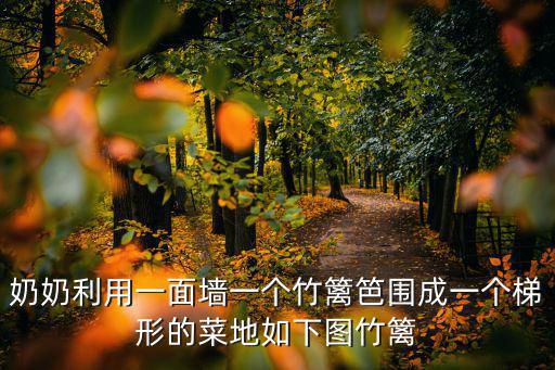 奶奶利用一面墻一個竹籬笆圍成一個梯形的菜地如下圖竹籬