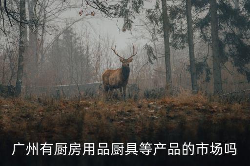 廣州有廚房用品廚具等產品的市場嗎