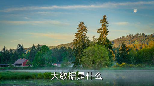大數據中心屬于哪個單位，大數據是什么