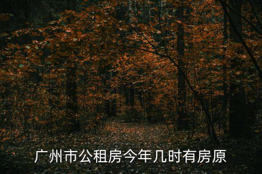 廣州市公租房今年幾時(shí)有房原