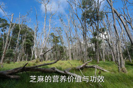 芝麻的功效與作用,黑芝麻營養(yǎng)豐富有助治療腸炎腹瀉