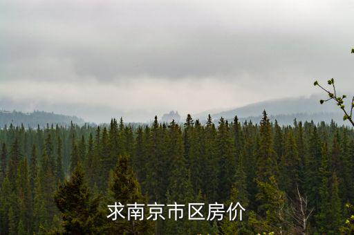 南京首付4萬的房?jī)r(jià)如何，南京房?jī)r(jià)多少錢一平米