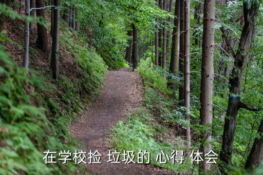在學(xué)校撿 垃圾的 心得 體會(huì)