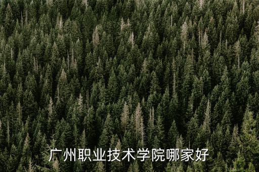 廣州職業技術學院哪家好