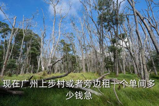 現在廣州上步村或者旁邊租一個單間多少錢急