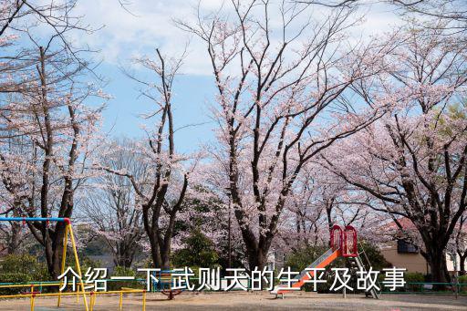 武則天歷史,武則天的功績在中國歷史上數(shù)一數(shù)二