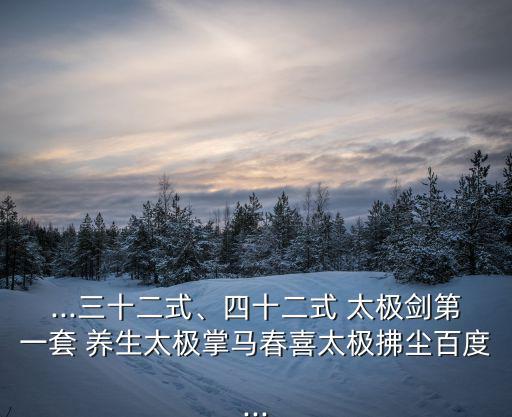 ...三十二式、四十二式 太極劍第一套 養生太極掌馬春喜太極拂塵百度...
