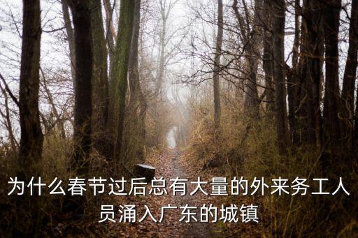 為什么春節(jié)過(guò)后總有大量的外來(lái)務(wù)工人員涌入廣東的城鎮(zhèn)