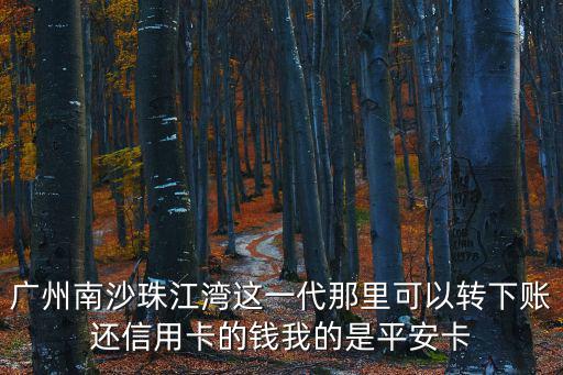 廣州南沙珠江灣這一代那里可以轉下賬還信用卡的錢我的是平安卡
