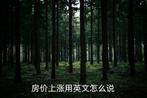 房價上漲用英文怎么說