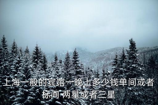上海一般的賓館一晚上多少錢單間或者標間 兩星或者三星