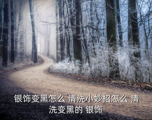  銀飾變黑怎么 清洗小妙招怎么 清洗變黑的 銀飾