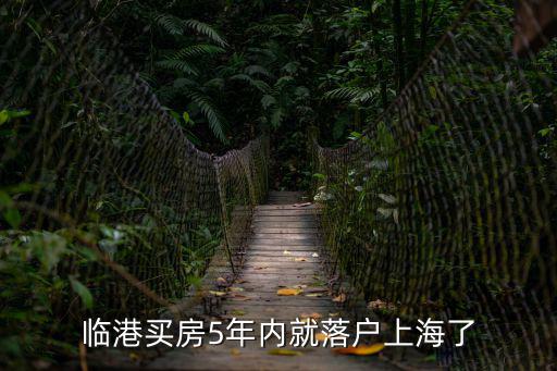 上海臨港直接落戶條件是什么，2019湖南 桃源縣人 想遷居上海 臨港新區(qū) 我不太懂上海的落戶政策