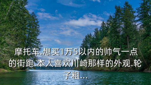  摩托車.想買1萬5以內的帥氣一點的街跑.本人喜歡川崎那樣的外觀.輪子粗...