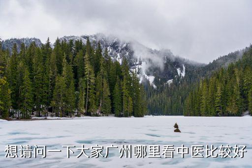 想請問一下大家廣州哪里看中醫比較好