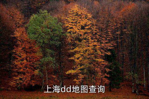 上海dd地圖查詢