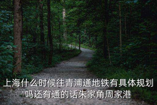 青浦新城最新規劃，上海市青浦區新城1站在哪個位置