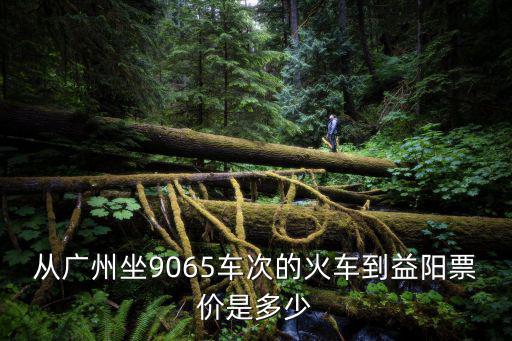 從廣州坐9065車次的火車到益陽票價是多少