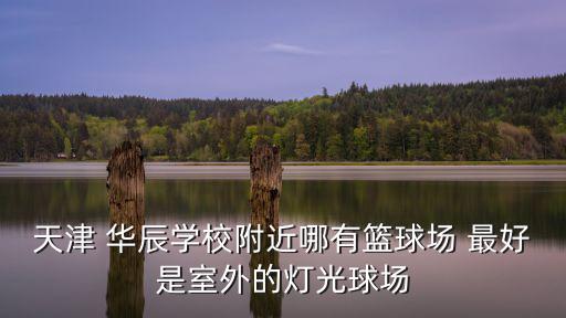 天津市華辰興業物流有限公司，天津 華辰學校附近哪有籃球場 最好是室外的燈光球場