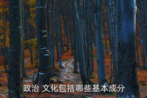 政治文化,政治文化是所有政治現象文化的總和