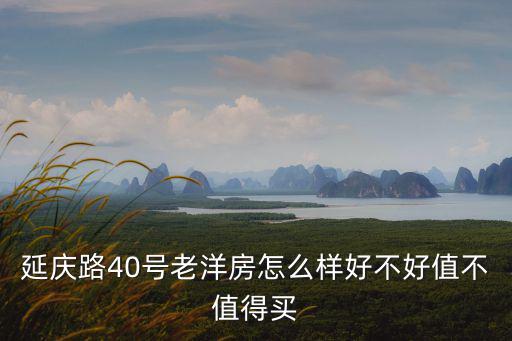 延慶路40號老洋房怎么樣好不好值不值得買