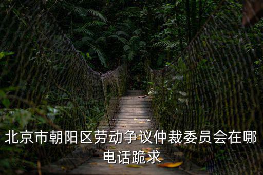 北京市朝陽區勞動爭議仲裁委員會在哪電話跪求