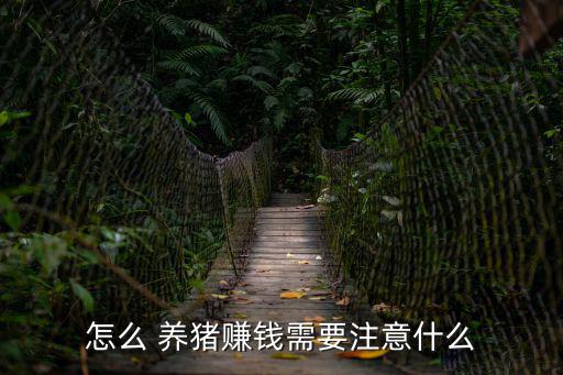 怎么養(yǎng)豬,如何養(yǎng)豬?注意事項