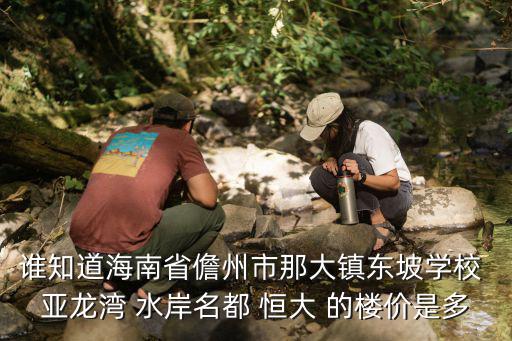 海南儋州市如何查房價，誰知道海南省儋州市那大鎮東坡學校 亞龍灣 水岸名都 恒大 的樓價是多