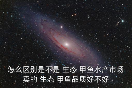 怎么區(qū)別是不是 生態(tài) 甲魚水產(chǎn)市場賣的 生態(tài) 甲魚品質(zhì)好不好