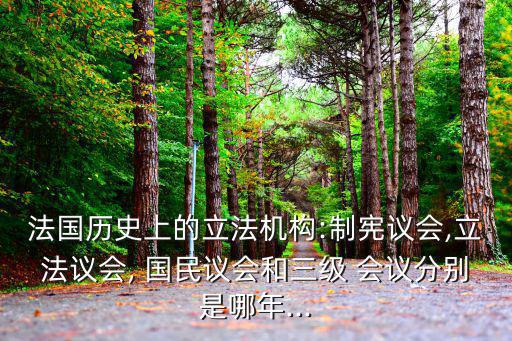 國(guó)民會(huì)議,三民主義:反對(duì)帝國(guó)主義內(nèi)容強(qiáng)調(diào)中華民族完全獨(dú)立