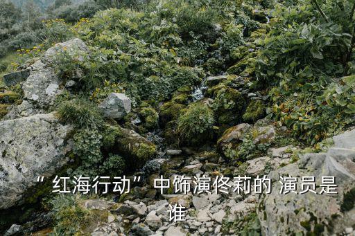 “ 紅海行動(dòng)”中飾演佟莉的 演員是誰