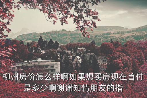 柳州房價怎么樣啊如果想買房現在首付是多少啊謝謝知情朋友的指