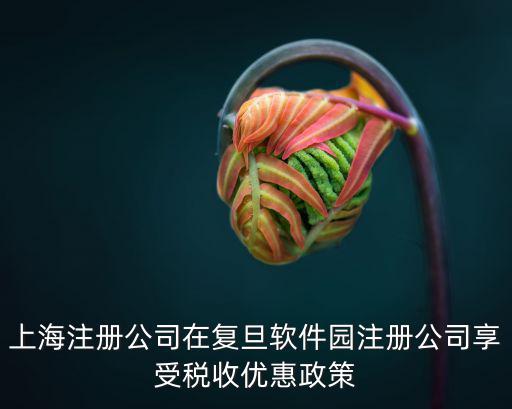 上海注冊公司在復(fù)旦軟件園注冊公司享受稅收優(yōu)惠政策